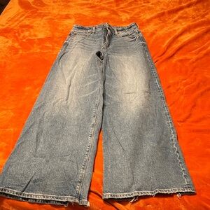 American Eagle Outfitters Denim Wide Leg Jeans